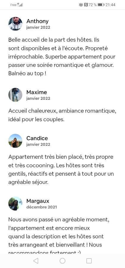 Romantisme Et Glamour 2 Avec Spa , Clim Et Jardin Dijon Exterior photo