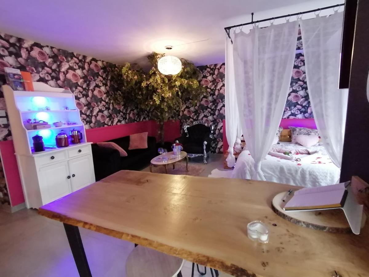 Romantisme Et Glamour 2 Avec Spa , Clim Et Jardin Dijon Exterior photo